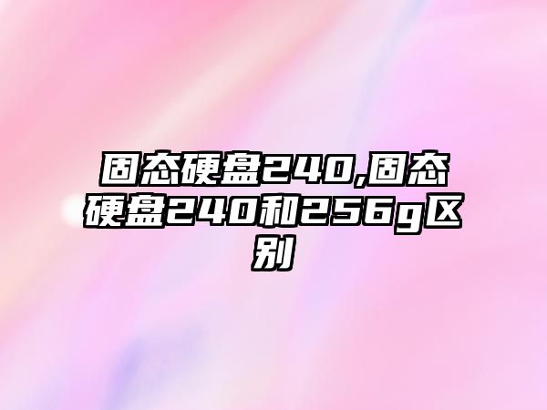 固態硬盤240,固態硬盤240和256g區別