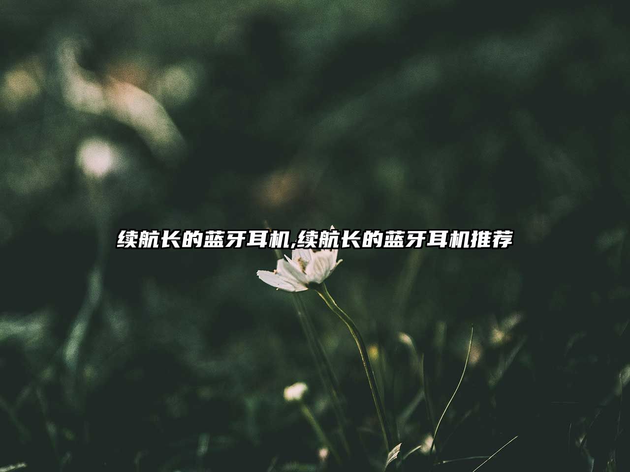 續(xù)航長(zhǎng)的藍(lán)牙耳機(jī),續(xù)航長(zhǎng)的藍(lán)牙耳機(jī)推薦