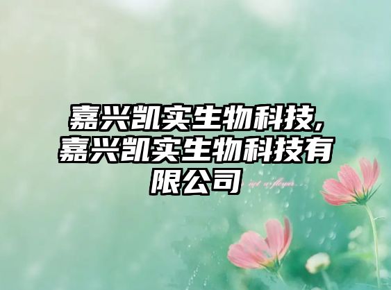 玉翠科技網