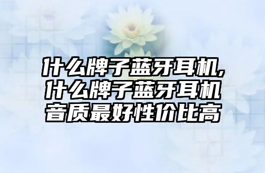 什么牌子藍(lán)牙耳機,什么牌子藍(lán)牙耳機音質(zhì)最好性價比高