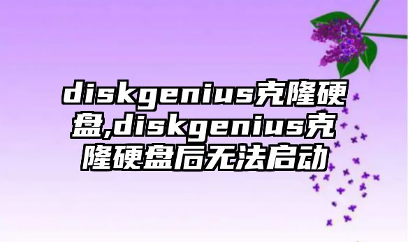 diskgenius克隆硬盤,diskgenius克隆硬盤后無法啟動